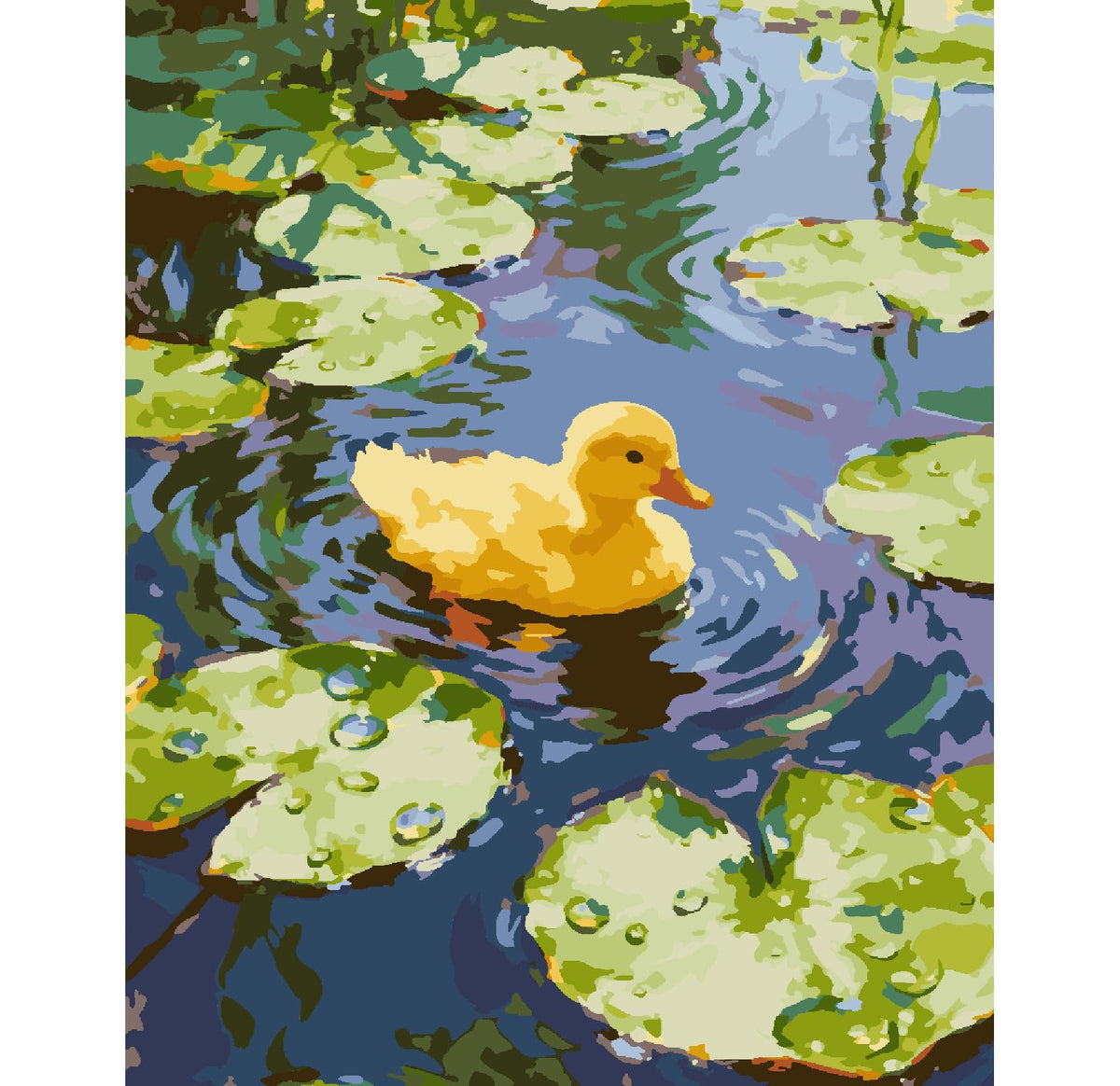 ZRIZQ Paint by Numbers Kit for Adults Beginner Animal,Duck,16x20