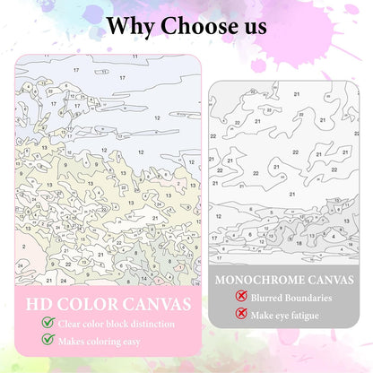 Dawnsphere Flowers Paint by Numbers Kit for Adults Without Frame 16x20 in