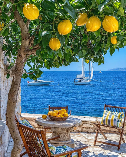 ZRIZQ Paint by Numbers Kit for Adults Beginner Landscape,Lemon Tree,16x20